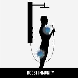 VIGO Gardenia Shower Massage Panel Mate Black Brand New Open Box 