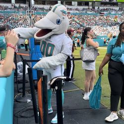 Dolphins Vs Titans On Field Sideline Access Passes 