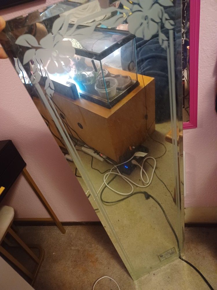 LONG GLASS MIRROR 40bucks NEED IT GONE ASAP FOR SUMMER CON MONEY