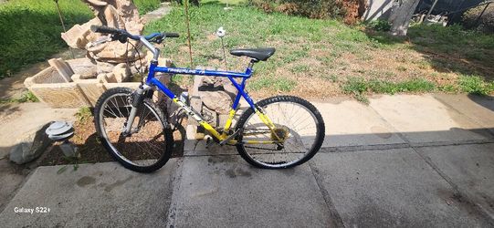 Vintage Mountain Bike