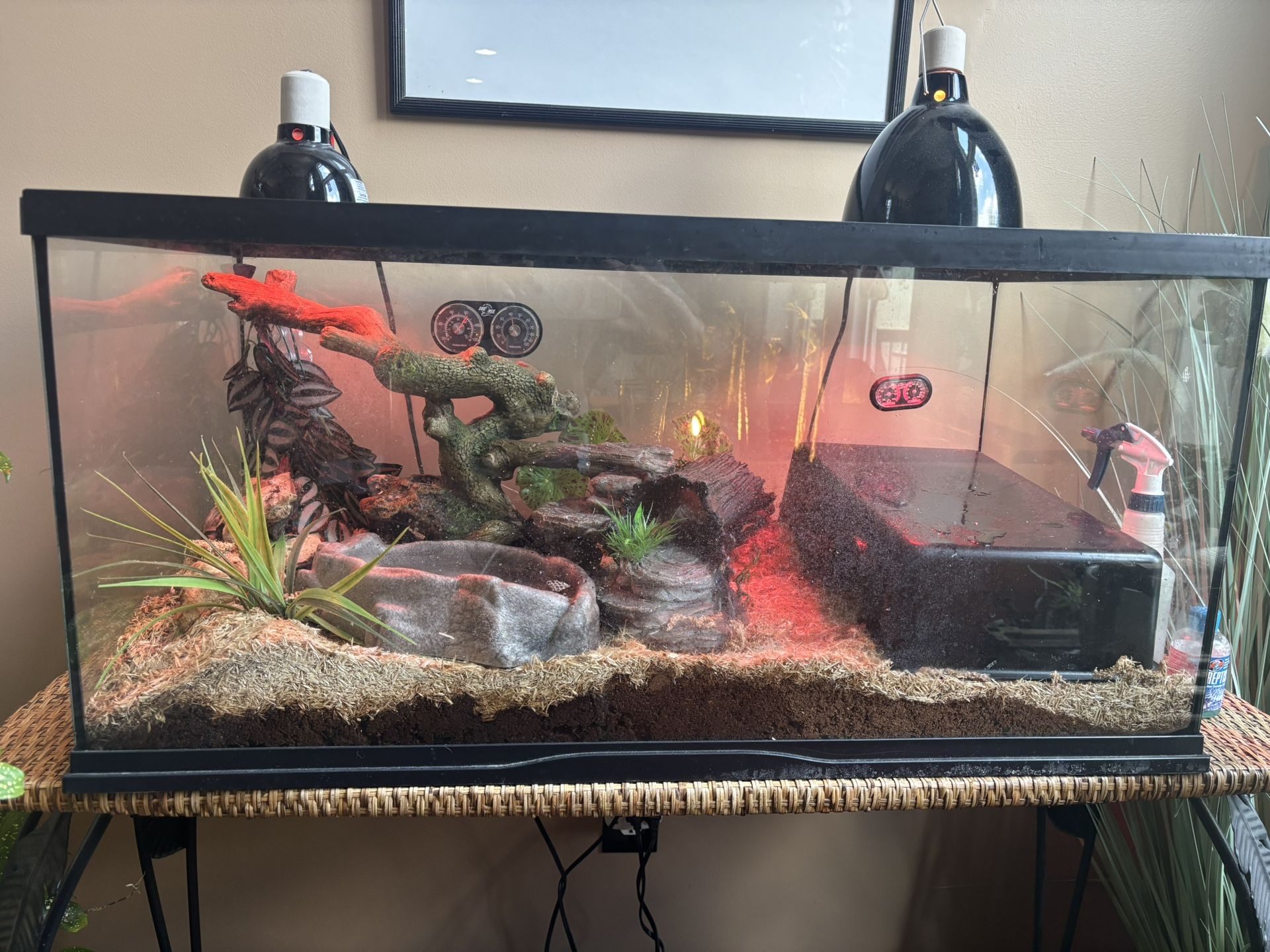 Snake Tank