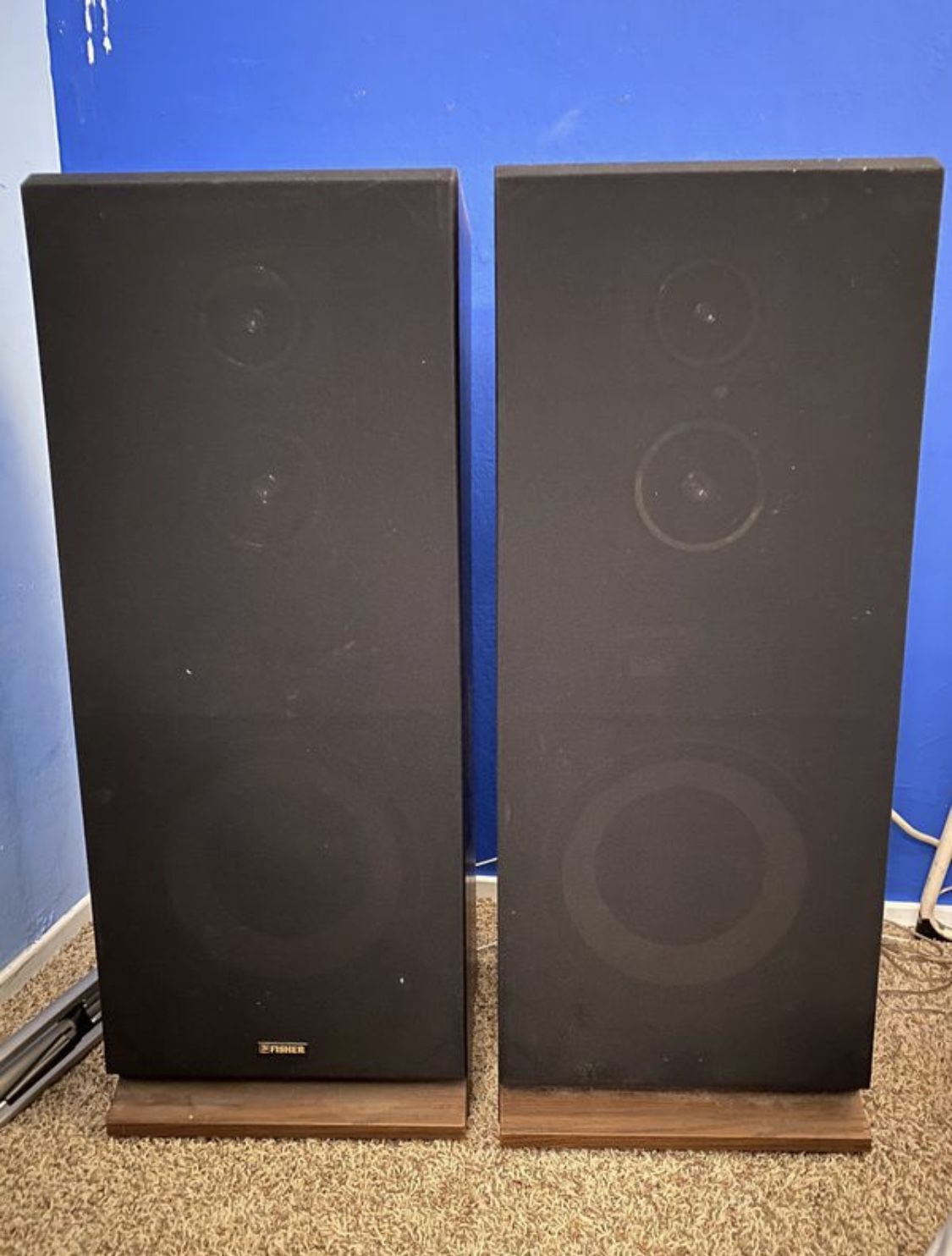 Fisher Audio Speakers