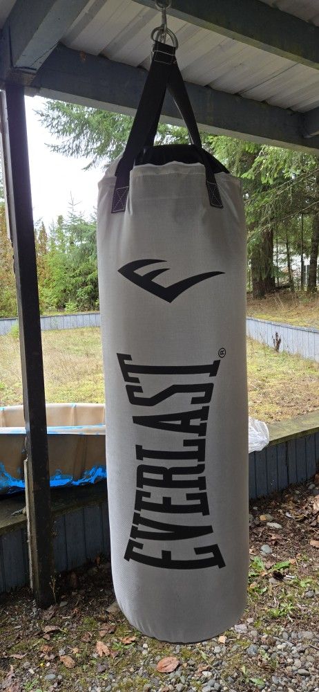 Everlast Punching Bag