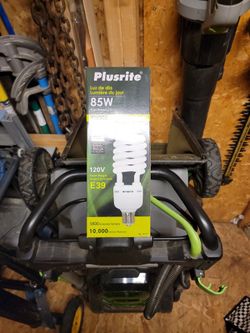 Bulb,  Plusrite , Part Number 4279