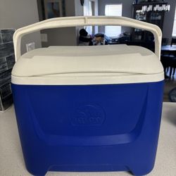 28 quart igloo cooler for only $15