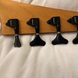 Electric Bass Guitar