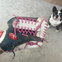 Rawlings Glove