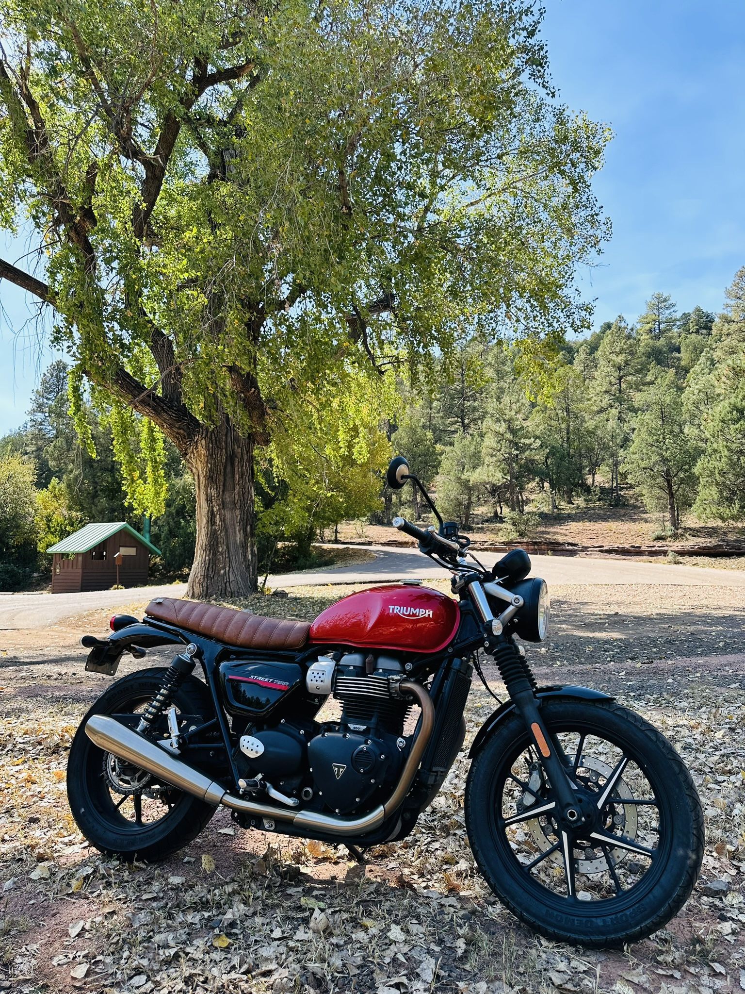 2020 Triumph Street Twin