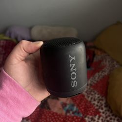 Sony Portable Speaker