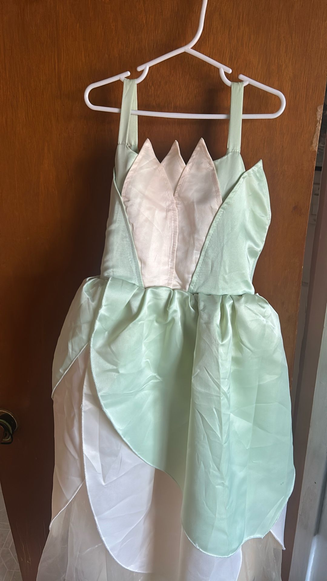 Brand New Tiana Costume.