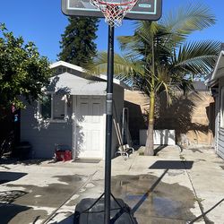 Basketball  hoop large