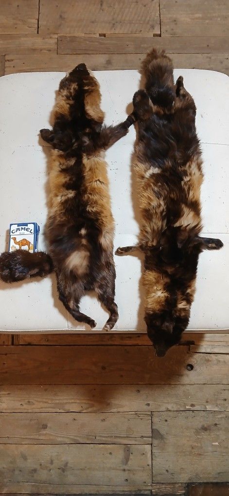 Vintage Mink Pelt Scarf Wrap