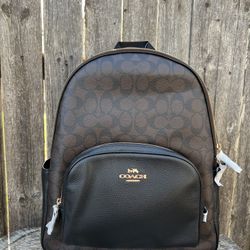 Coach Large Court Backpack In Signature Canvas