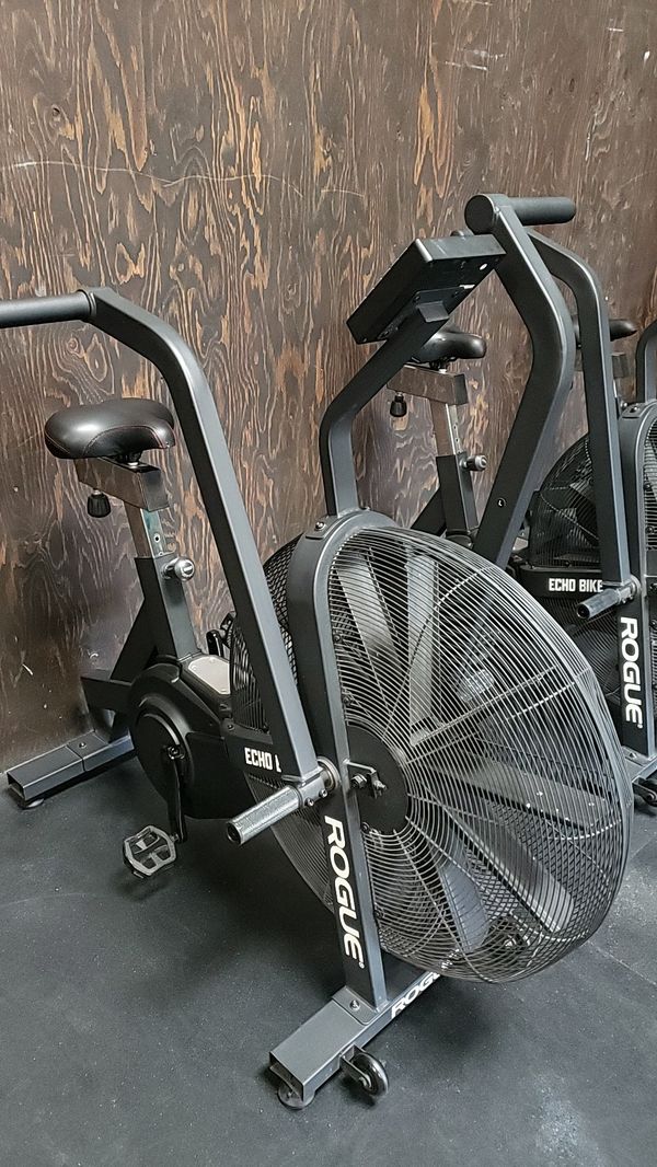 rogue echo bike used for sale
