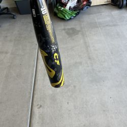 Baseball Bat