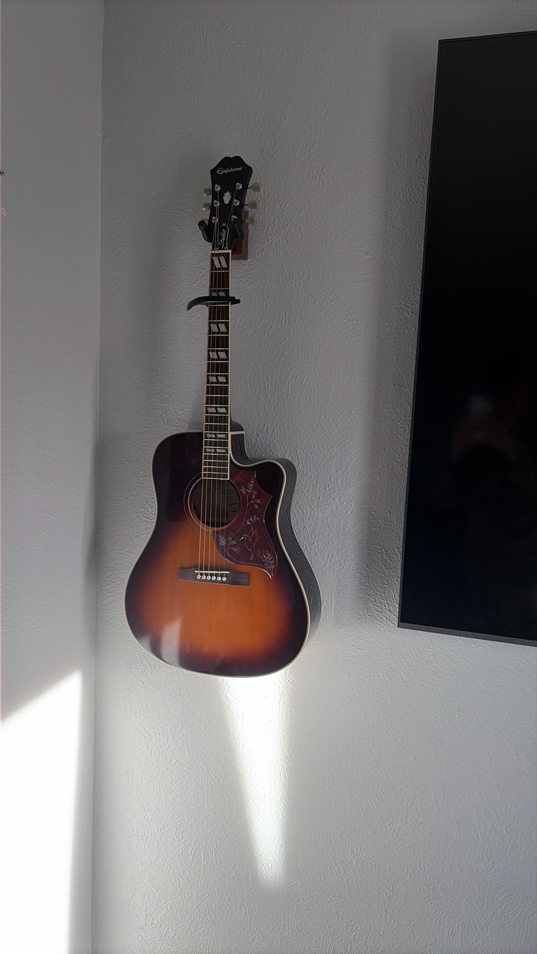 EPIPHONE HUMMIBIRD