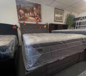 Queen Size Bed 