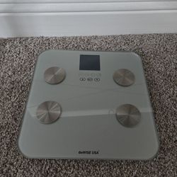body weight scale