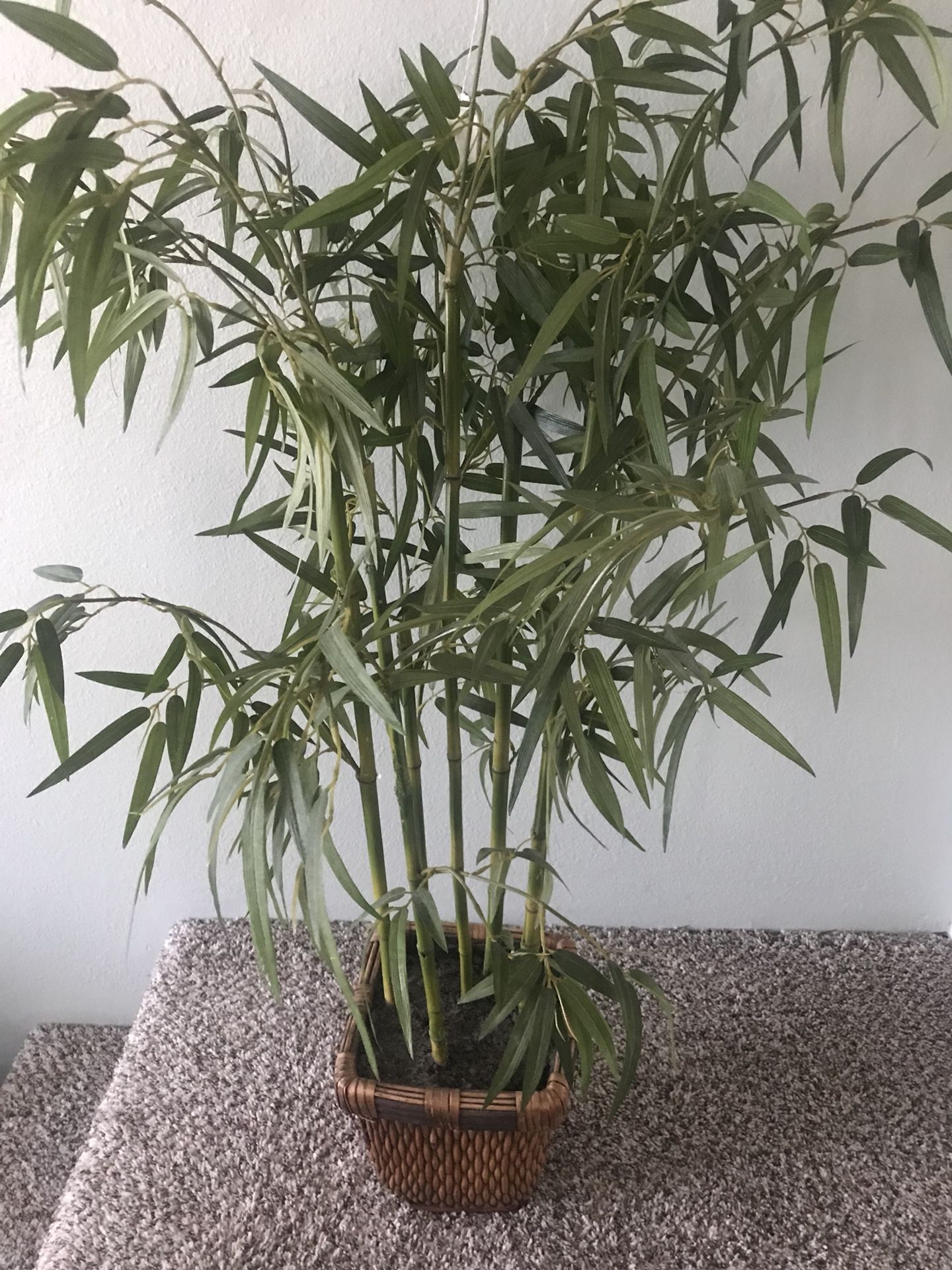 Silk Tree Bamboo Base *like new*