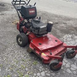 Toro 36