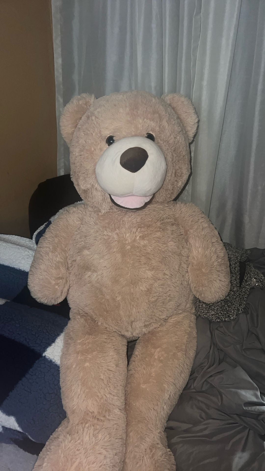 Teddy Bear