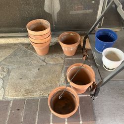 Plant Pots