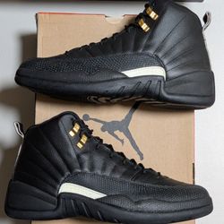 Jordan 12 