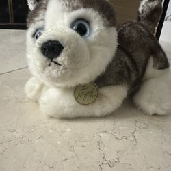 Stuffed Animal