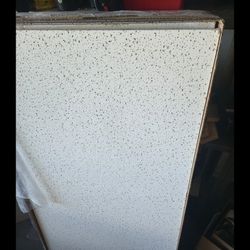 USG Acoustic Ceiling Tiles 2x4 (seven 2x4, One 2x2)