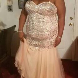 Light Pink Mermaid Prom Dress 