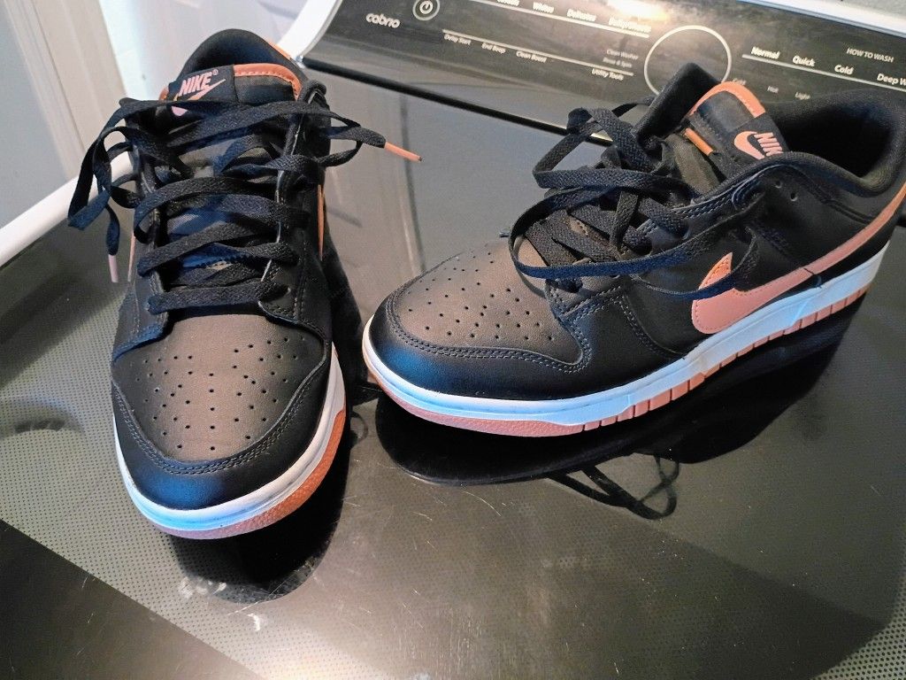 Nike Mens Dunk low Size 10