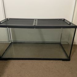 Reptile Tank