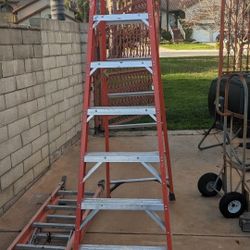 8 Foot Ladder 