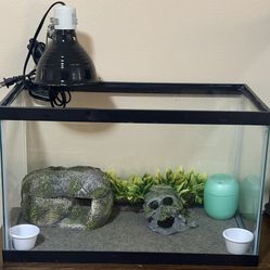 Ten Gallon Reptile Tank with Heat