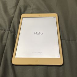 Apple iPad
