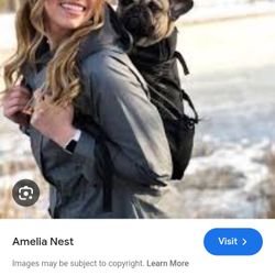 Pet Carrier Backpack 