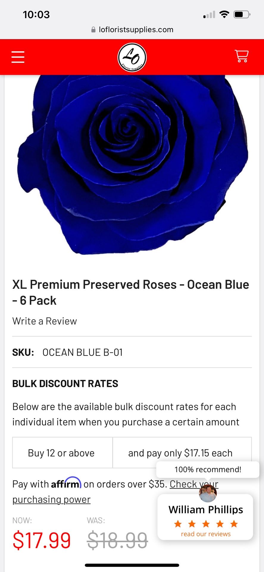 Turquoise Preserved Roses