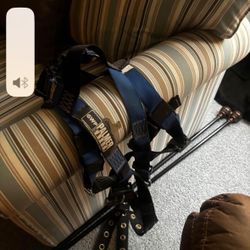 Palmer Safety Harness