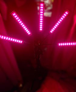 Cholas Red Therapy Light