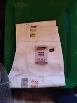 Dickies Painter Relaxed