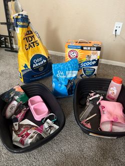 Cat Supply Bundle – Litter, Food, Accessories