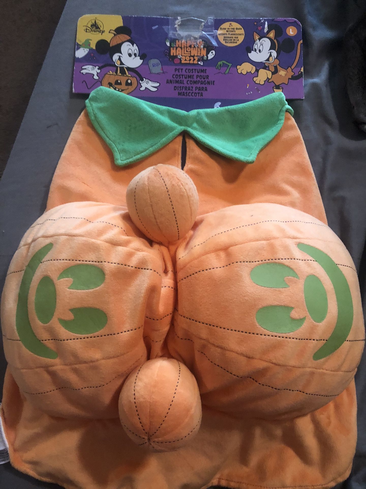pet costume disney halloween