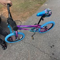 Teal Purple Teen Bike 