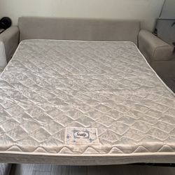 Queen Sleeper Sofa – Sealy Mattress – Priced to Sell