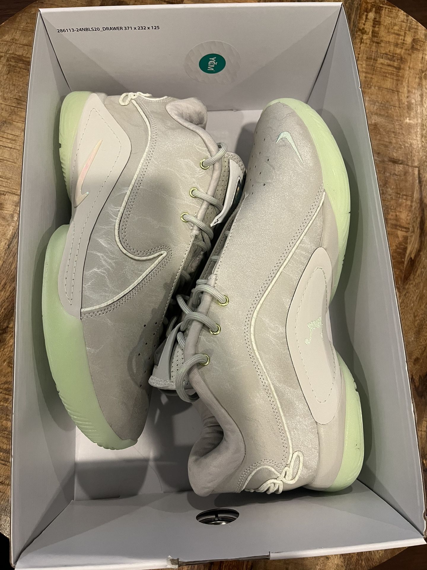 Nike LeBron XXII 22 Dunkman Light Bone Pearl Vapor Green NEW Shoes Men's Size 10