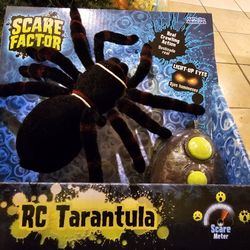 RC TARANTULA