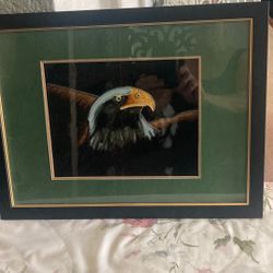 Patriotic Painted ( Collection)