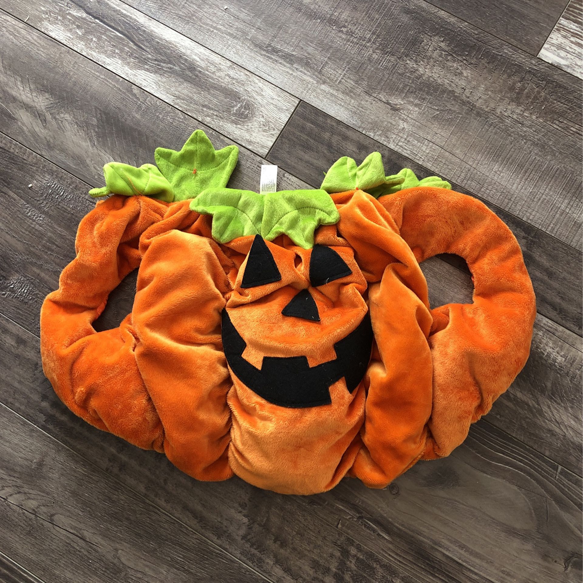 Pumpkin Costume For Medium Size Dog