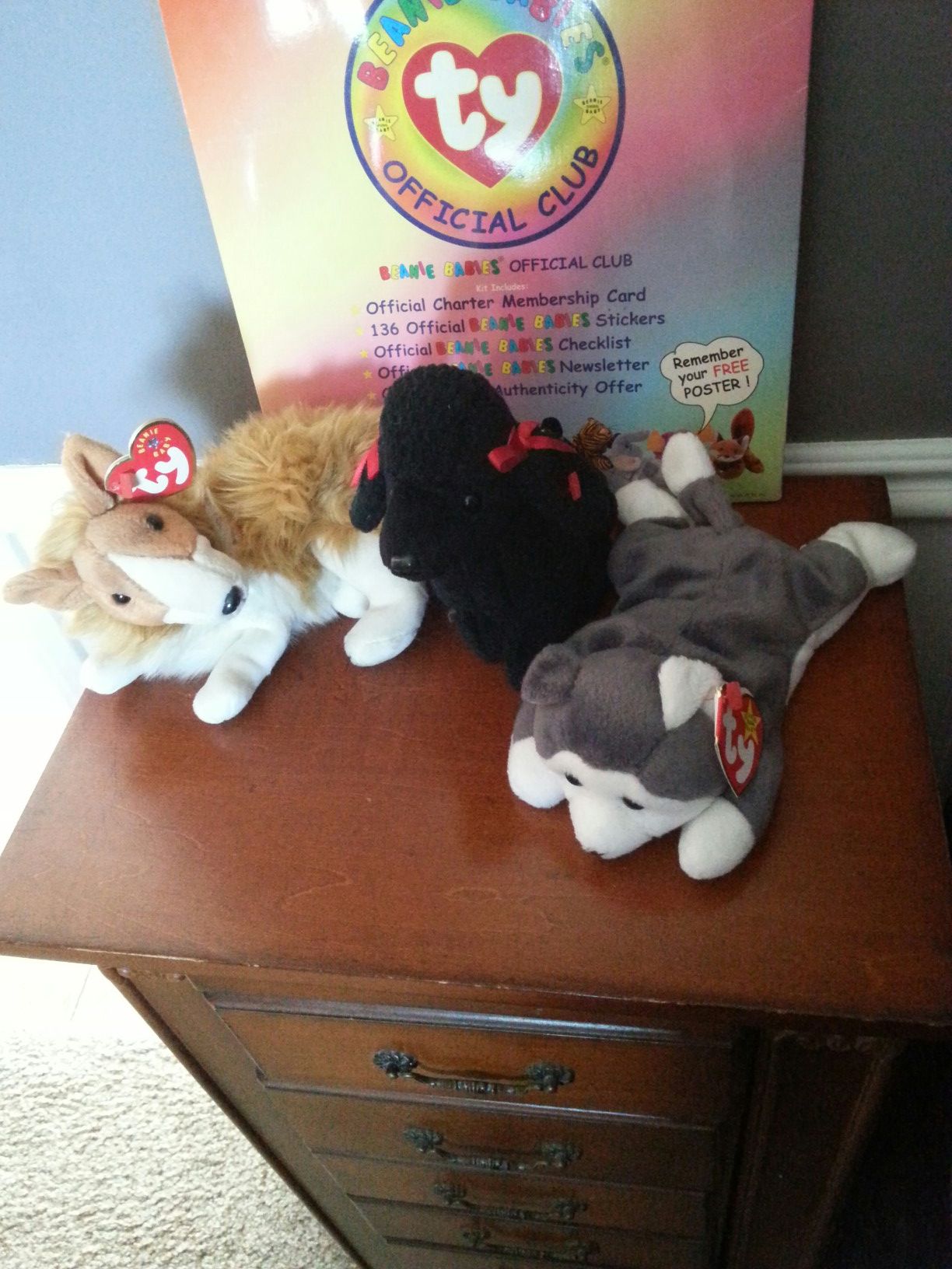 Beanie baby dog's