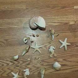 22” Nautilus Sea/ Starfish Wind Chime 